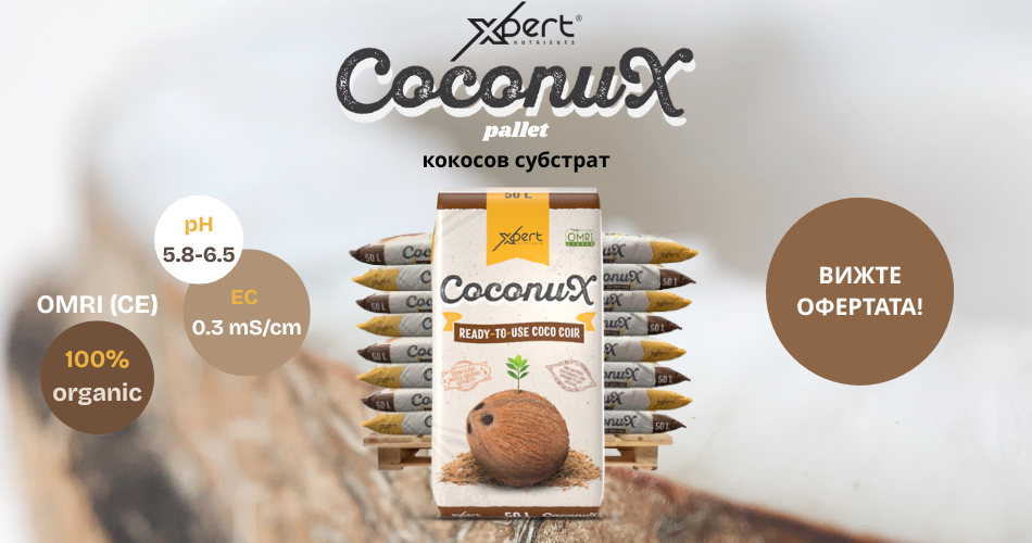 BN Coco Brick - Pachet de 6 plăci de nucă de cocos - Growshop Mania